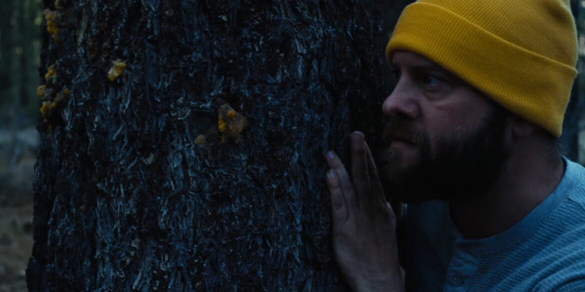 The Hidebehind