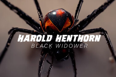 Harold Henthorn Black Widower True Crime